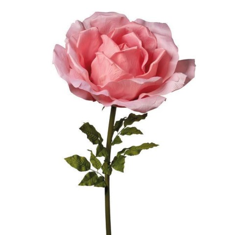 RAMO ROSA CM170 ROSA